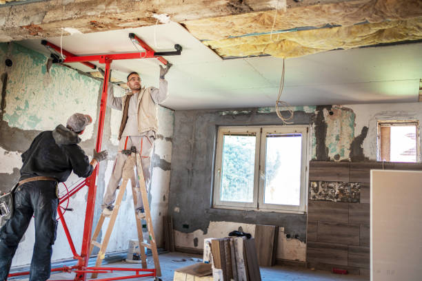 Best Insulation Maintenance and Repair in USA